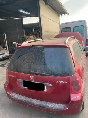 Foto de PORTON TRASERO PEUGEOT 307 BREAK / SW (S1)(04.2002) 2.0 16V HDi FAP CAT (RHR / DW10BTED4) (136 CV / 100 KW) referencia 8701Q4
