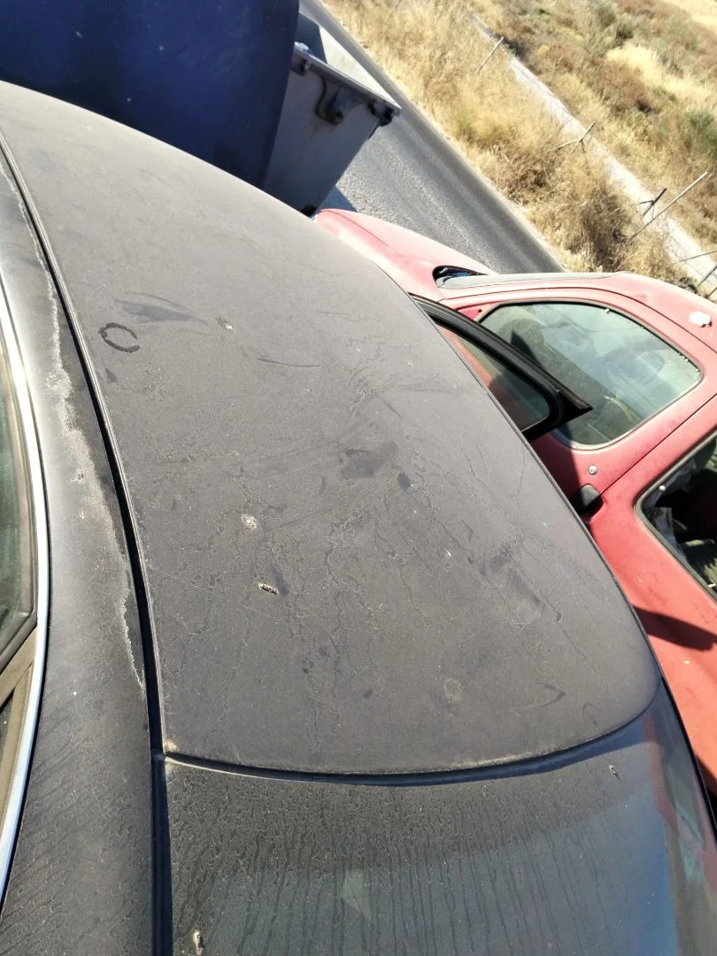 Foto de TECHO AUDI A4 BERLINA (8E) 1.9 TDI (131 CV / 96 KW) referencia 8E5817111