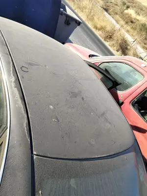 Foto de TECHO AUDI A4 BERLINA (8E) 1.9 TDI (131 CV / 96 KW) referencia 8E5817111