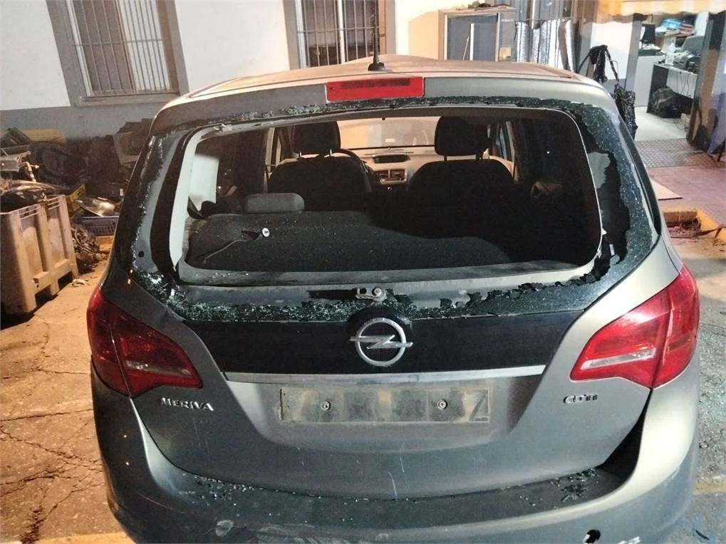 Foto de PORTON TRASERO OPEL MERIVA B