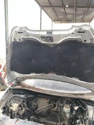 Foto de CAPO SEAT ALTEA (5P1) 1.9 TDI (105 CV / 77 KW) referencia 5P0823031C