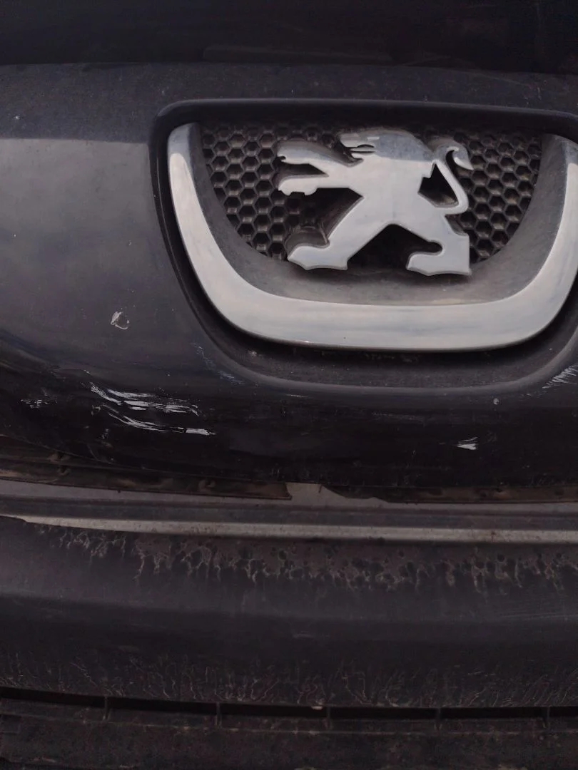Foto de REJILLA DELANTERA PEUGEOT 308 1.6 16V HDi (90 CV / 66 KW)