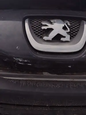 Foto de REJILLA DELANTERA PEUGEOT 308 1.6 16V HDi (90 CV / 66 KW)