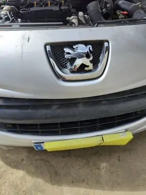 Foto de REJILLA DELANTERA PEUGEOT 207 1.6 16V HDi (90 CV / 66 KW) referencia 7414QA
