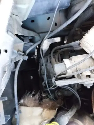 Foto de COMPRESOR AIRE ACONDICIONADO CITROEN C3 1.4 HDi (68 CV / 50 KW) referencia 6453KS