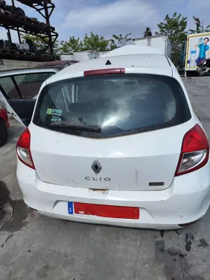 Foto de PORTON TRASERO RENAULT CLIO III 1.2 16V (75 CV / 55 KW)