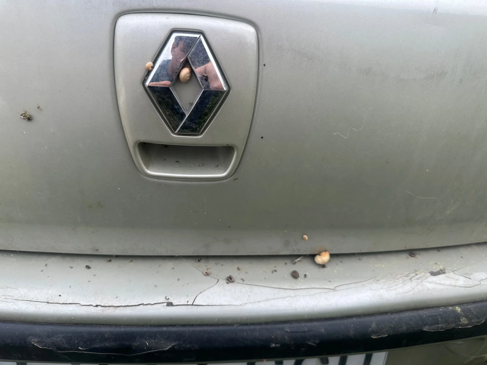 Foto de PARAGOLPES TRASERO RENAULT LAGUNA II (BG0) 2.0 (135 CV / 99 KW) referencia 7701206438