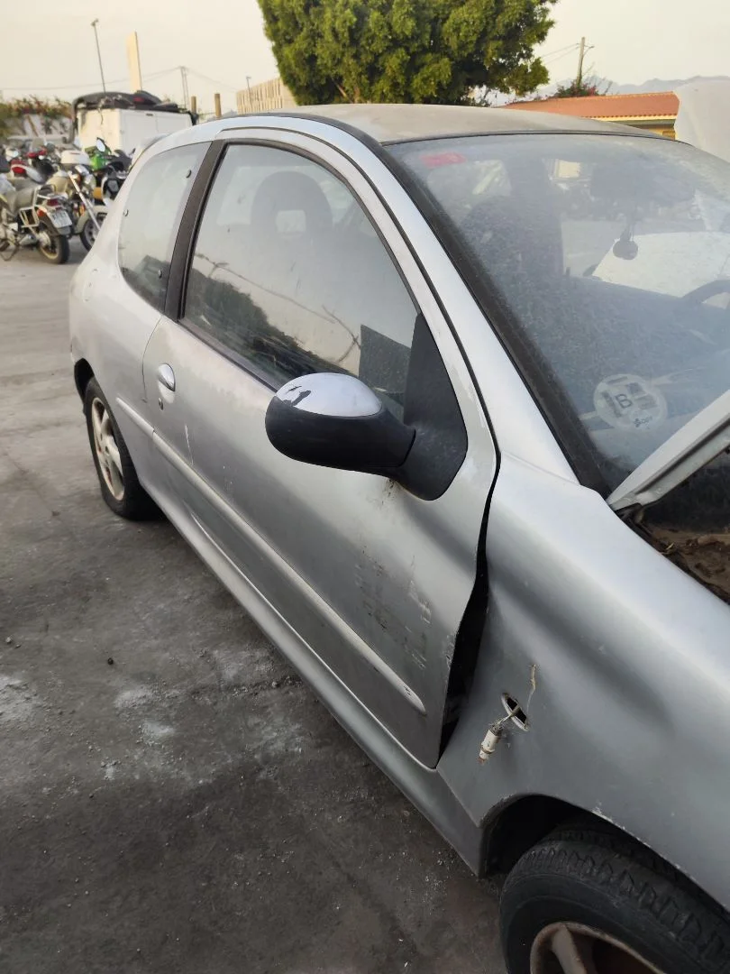 Foto de PUERTA DELANTERA DERECHA PEUGEOT 206 1.6 16V CAT (109 CV / 80 KW) referencia 9004K6