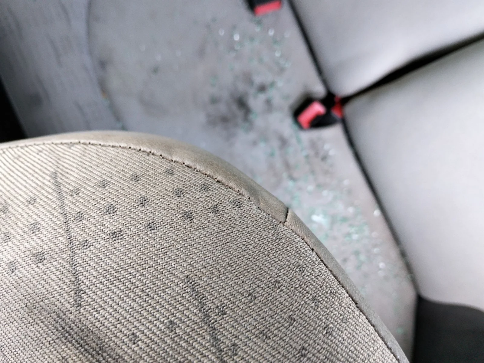 Foto de ENGANCHE CINTURON TRASERO IZQUIERDO CITROEN C3 1.4 HDi (68 CV / 50 KW)