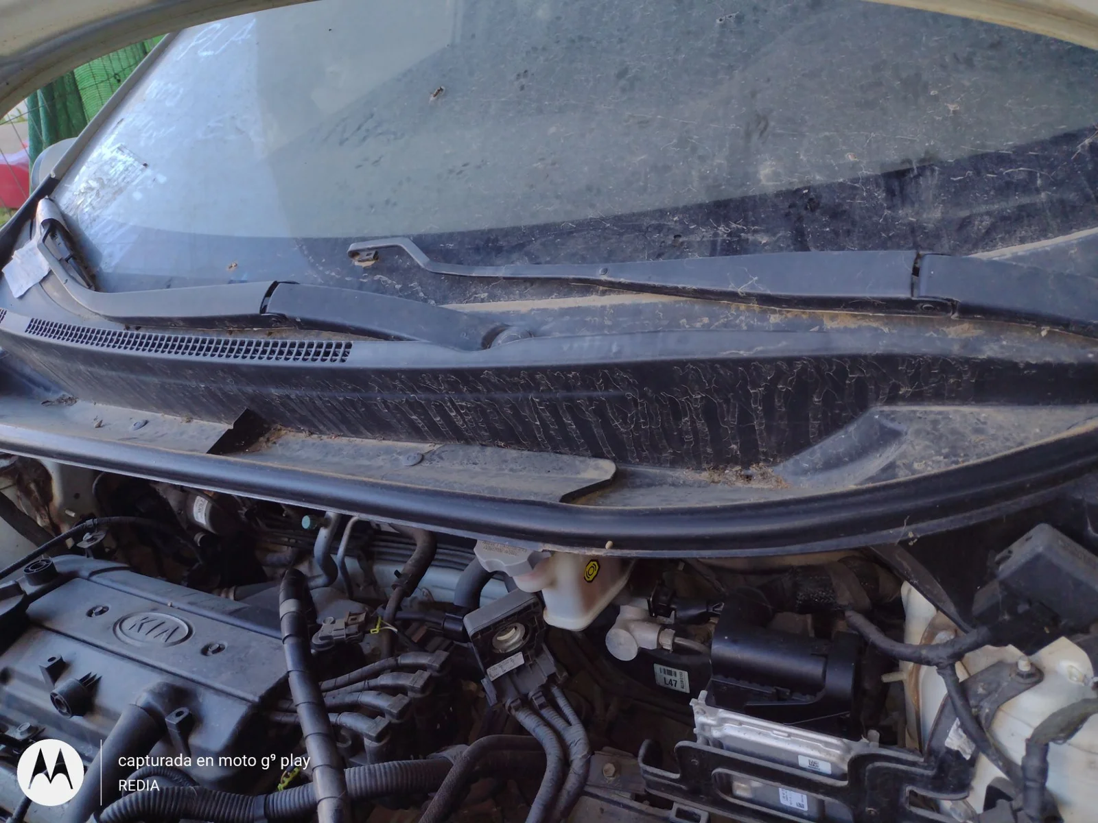 Foto de MOTOR LIMPIA DELANTERO KIA RIO (UB) 1.2 CAT (86 CV / 63 KW)