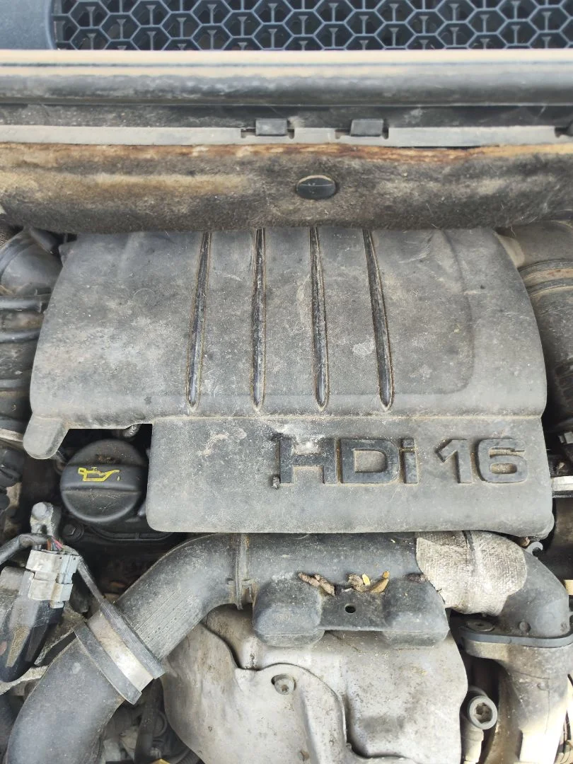 Foto de TAPA MOTOR CITROEN BERLINGO FURGÓN 1.6 16V HDi FAP (90 CV / 66 KW) referencia 0137E5