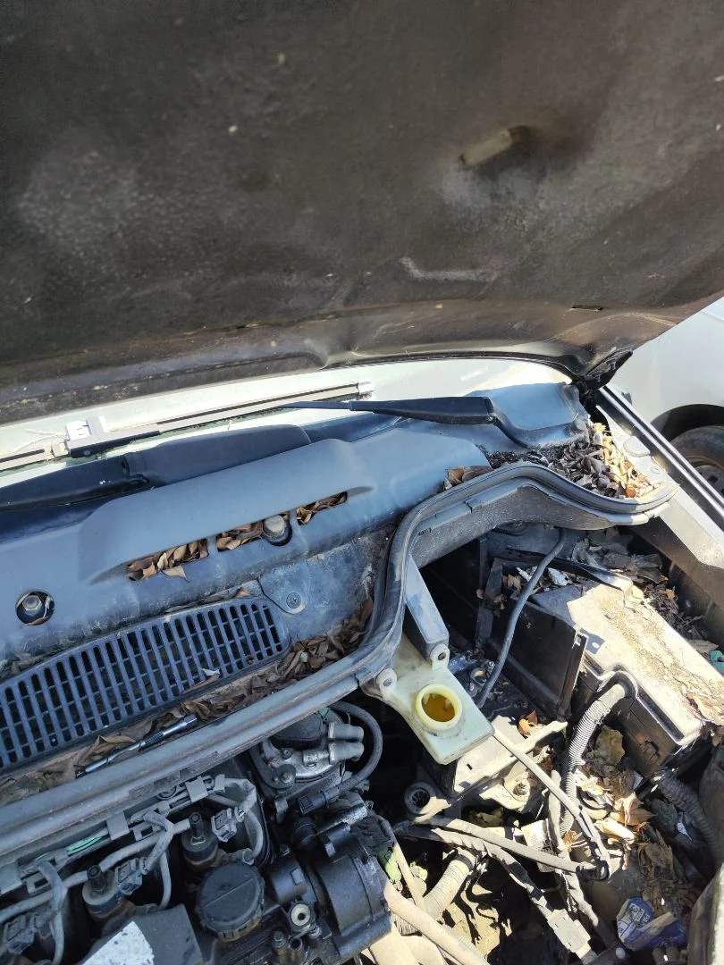 Foto de MOTOR LIMPIA DELANTERO FORD FOCUS C-MAX (CAP)(2003) 1.6 TDCi CAT (90 CV / 66 KW)