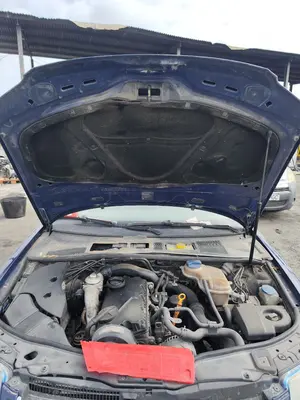 Foto de CAPO VOLKSWAGEN PASSAT BERLINA (3B3) 1.9 TDI (131 CV / 96 KW) referencia 3B0823031K foto 3