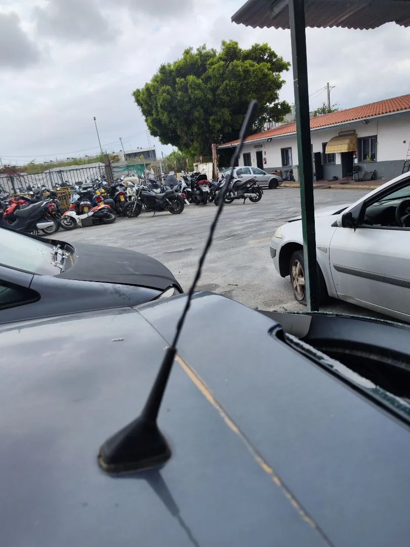 Foto de ANTENA RENAULT MEGANE III BERLINA 5P 1.5 dCi Diesel FAP (110 CV / 81 KW) referencia 8200500322