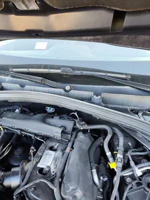 Foto de MOTOR LIMPIA DELANTERO JAGUAR F-PACE 3.0 V6 Diesel CAT (301 CV / 221 KW) referencia HK8317500