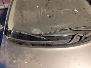 Foto de BRAZO LIMPIA DELANTERO DERECHO RENAULT SCENIC II (JM)