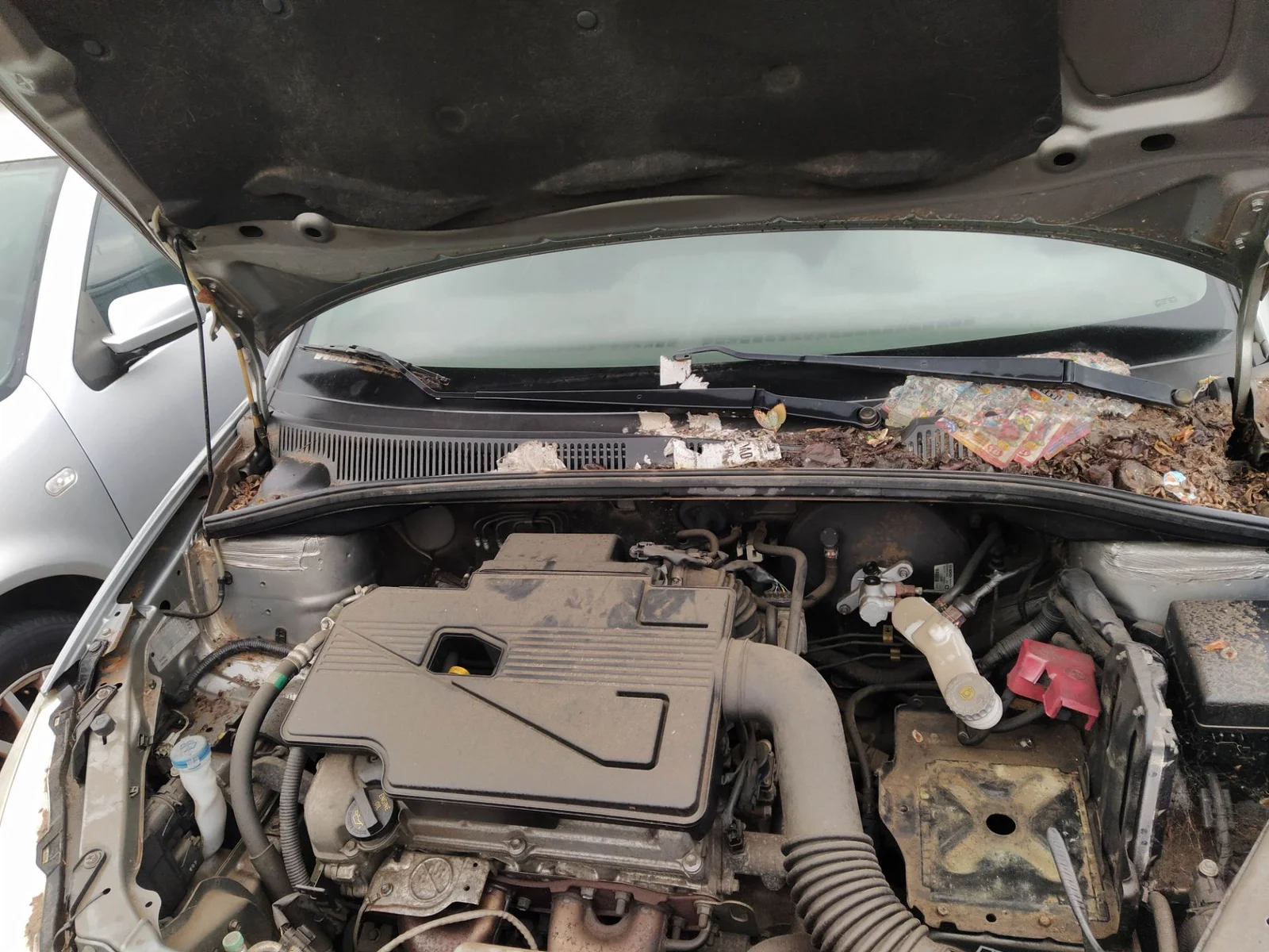 Foto de TUBO PRESION DIRECCION ASISTIDA SUZUKI SX4 (RW/EY) 1.6 16V CAT (107 CV / 79 KW)