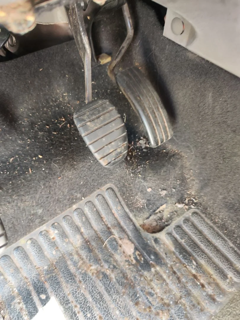 Foto de PEDAL FRENO RENAULT SCENIC II (JM) 1.5 dCi Diesel (106 CV / 78 KW)