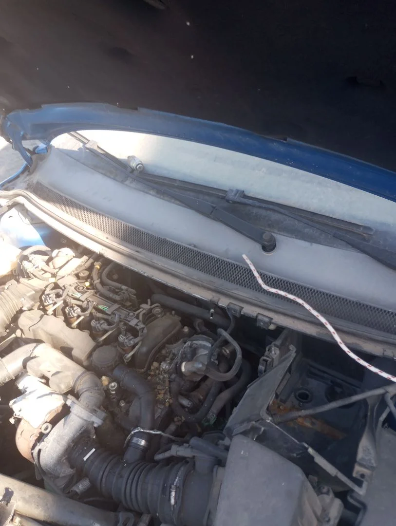 Foto de TORPEDO FORD FOCUS BERLINA (CAP) 1.6 TDCi CAT (109 CV / 80 KW)