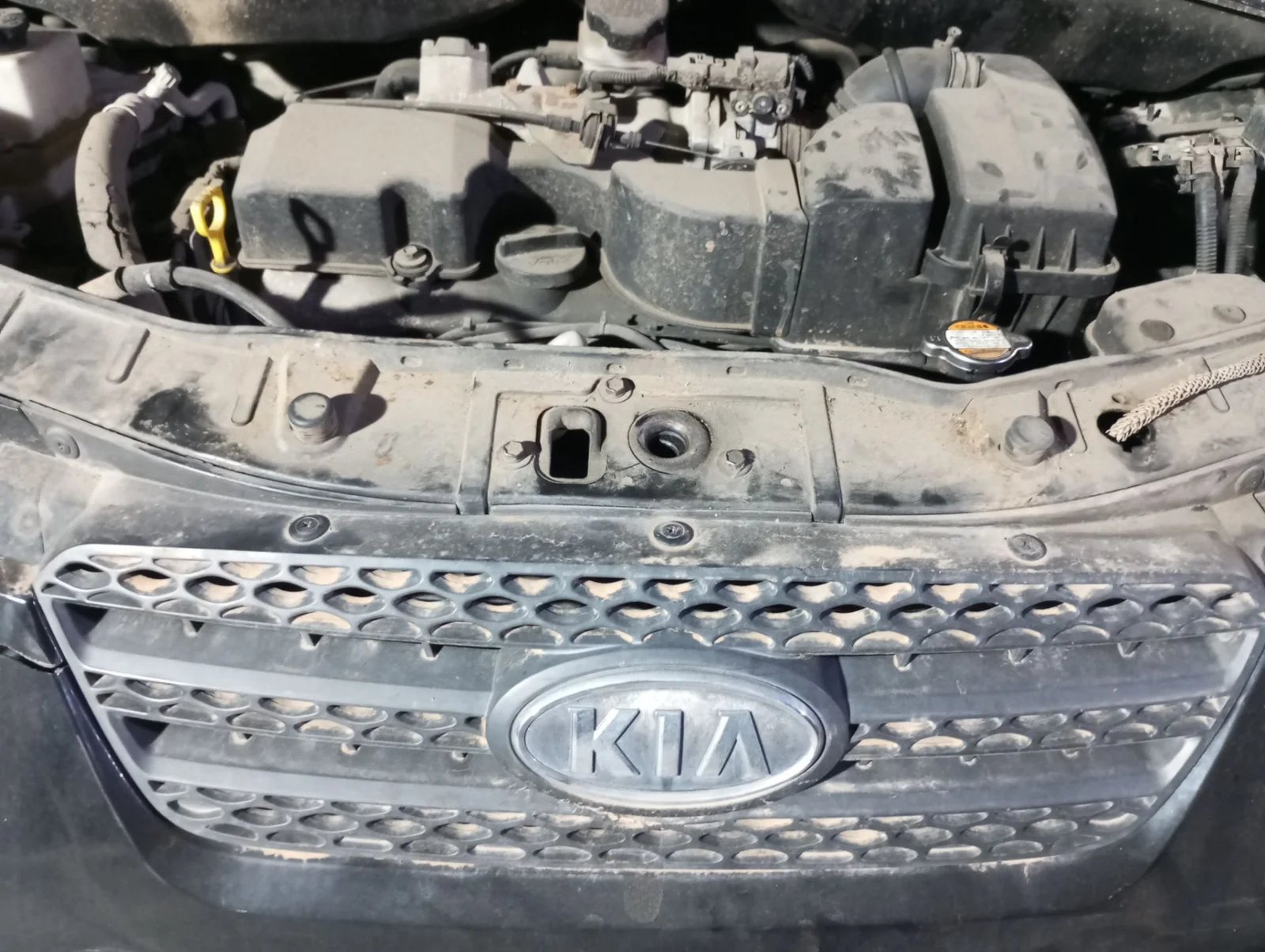 Foto de REJILLA DELANTERA KIA PICANTO (SA) 1.1 CAT (65 CV / 48 KW) referencia 8651207500