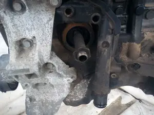 Foto de MOTOR COMPLETO RENAULT SCENIC III (JZ) referencia K9K832 foto 12