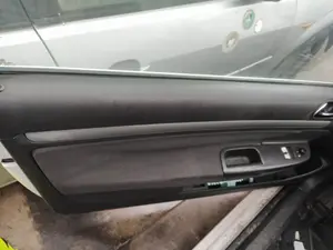 Foto de RETENEDOR PUERTA VOLKSWAGEN GOLF V (1K1)(10.2003) 1.9 TDI (105 CV / 77 KW)
