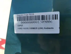 Foto de CAPO FORD FOCUS FAMILIAR (CAK) 1.6 16V CAT (101 CV / 74 KW) foto 3