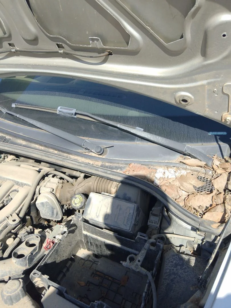 Foto de BRAZO LIMPIA DELANTERO IZQUIERDO RENAULT CLIO III 1.4 16V (98 CV / 72 KW)