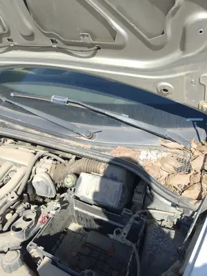 Foto de BRAZO LIMPIA DELANTERO IZQUIERDO RENAULT CLIO III 1.4 16V (98 CV / 72 KW)
