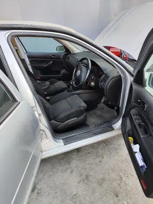 Foto de GOMAS CONTORNO PUERTA VOLKSWAGEN GOLF IV BERLINA (1J1)(10.1997) 1.9 TDI (131 CV / 96 KW)
