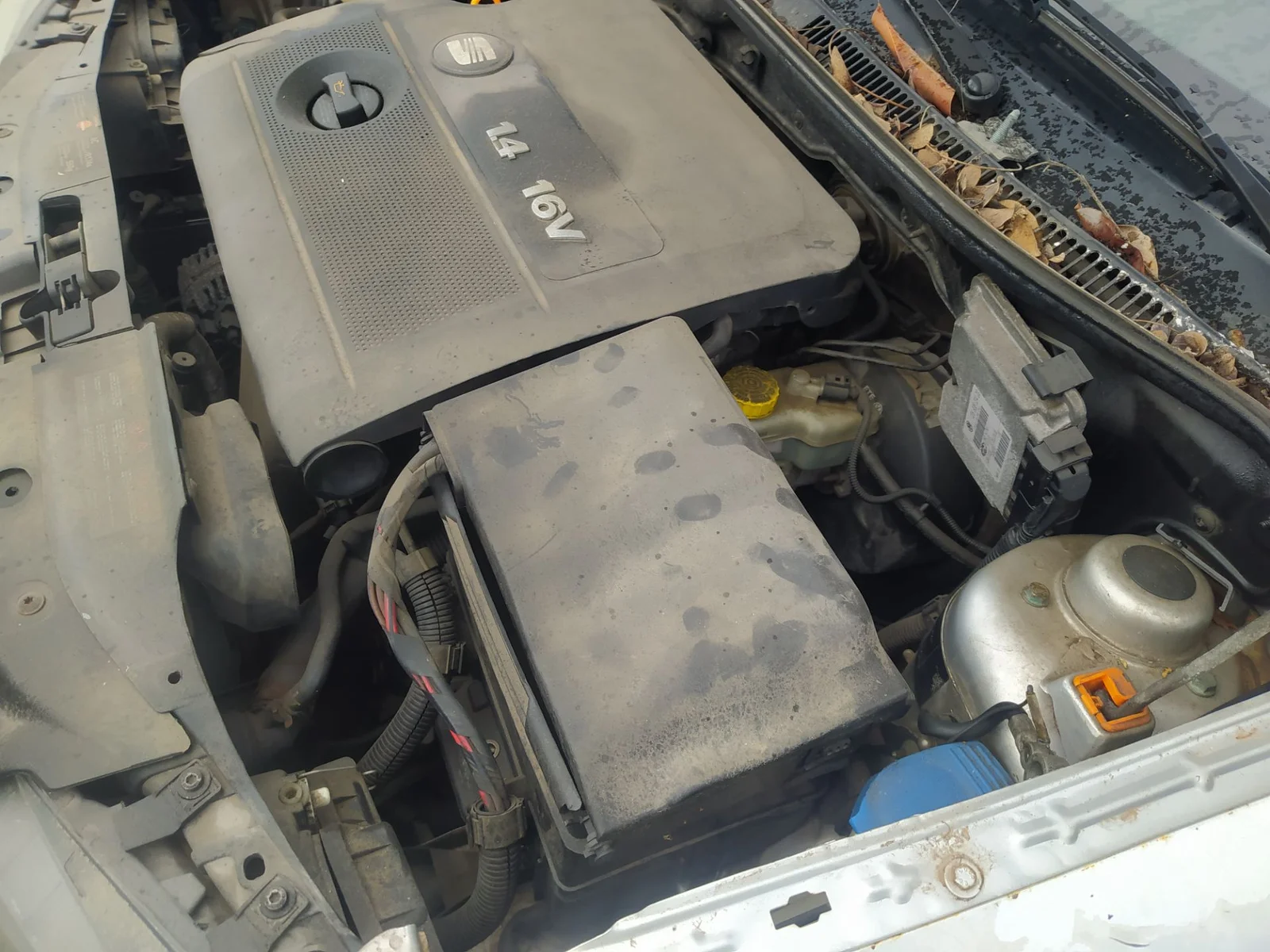 Foto de CAJA FILTRO AIRE SEAT CORDOBA BERLINA (6L2) 1.4 16V (101 CV / 74 KW)