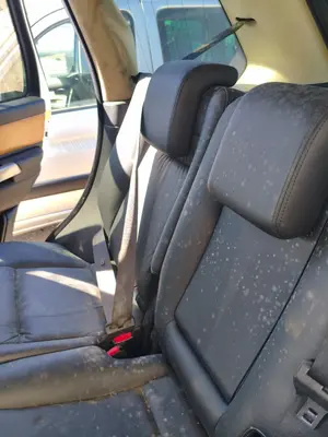 Foto de CINTURON SEGURIDAD TRASERO DERECHO LAND ROVER RANGE ROVER SPORT 4.4 V8 CAT (299 CV / 220 KW)