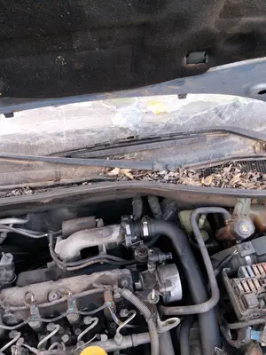 Foto de MOTOR LIMPIA DELANTERO RENAULT LAGUNA II (BG0) 2.0 (135 CV / 99 KW) referencia 8200317212 foto 1