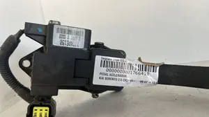 Foto de PEDAL ACELERADOR KIA SORENTO (BL) referencia XJKAE150 foto 2