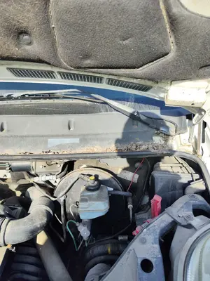 Foto de BRAZO LIMPIA DELANTERO IZQUIERDO NISSAN INTERSTAR (X70) 2.5 dCi Diesel CAT (114 CV / 84 KW)