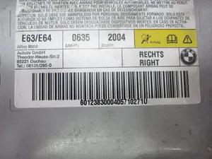 Foto de AIRBAG LATERAL DELANTERO DERECHO BMW SERIE 6 COUPE (E63) 4.4 V8 32V CAT (333 CV / 245 KW) referencia 601258100B foto 2