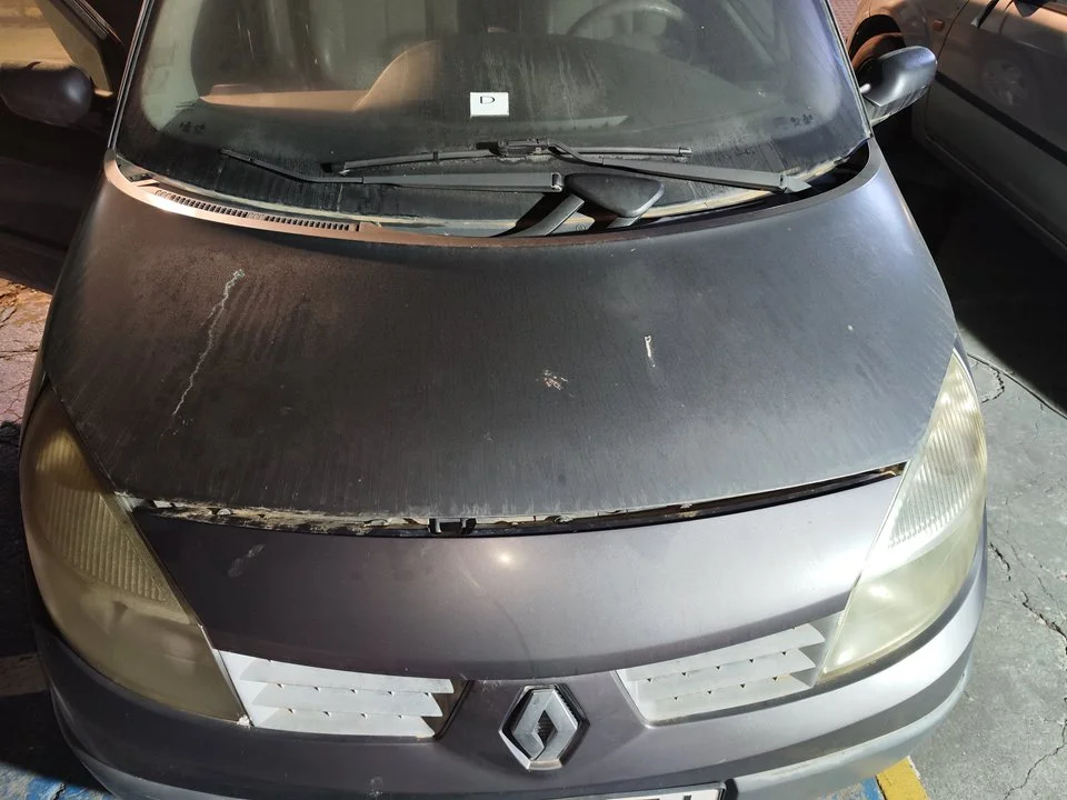 Foto de CAPO RENAULT SCENIC II (JM) 1.9 dCi Diesel (120 CV / 88 KW) referencia 651001097R