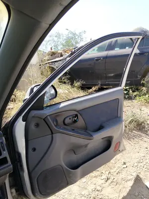 Foto de GOMAS CONTORNO PUERTA HYUNDAI ELANTRA (XD) 2.0 CRDi CAT (113 CV / 83 KW)