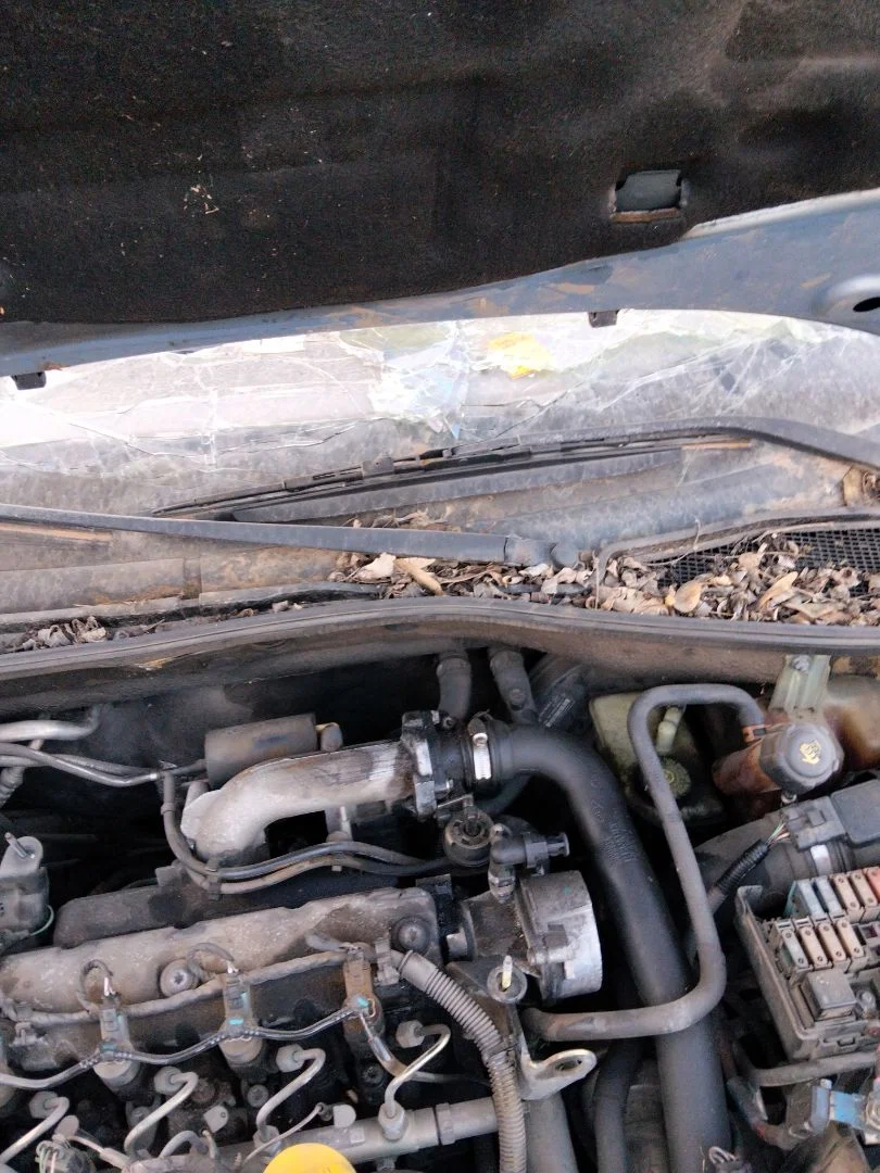 Foto de MOTOR LIMPIA DELANTERO RENAULT LAGUNA II (BG0) 1.9 dCi Diesel CAT (101 CV / 74 KW) referencia 8200317212
