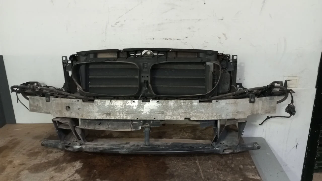 Foto de PANEL FRONTAL BMW SERIE 5 TOURING (F11) 2.0 Turbodiesel (218 CV / 160 KW) referencia 733289305