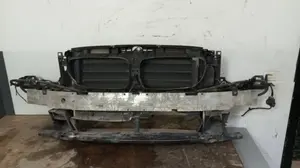 Foto de PANEL FRONTAL BMW SERIE 5 TOURING (F11) 2.0 Turbodiesel (218 CV / 160 KW) referencia 733289305