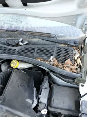 Foto de MOTOR LIMPIA DELANTERO CITROEN C4 CACTUS 1.2 12V VTi (82 CV / 60 KW)