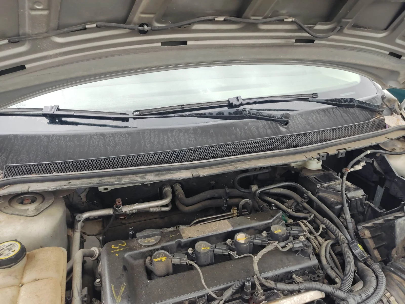Foto de MOTOR LIMPIA DELANTERO FORD FOCUS SPORTBREAK (CAP) 1.6 TDCi CAT (90 CV / 66 KW) referencia 1704578
