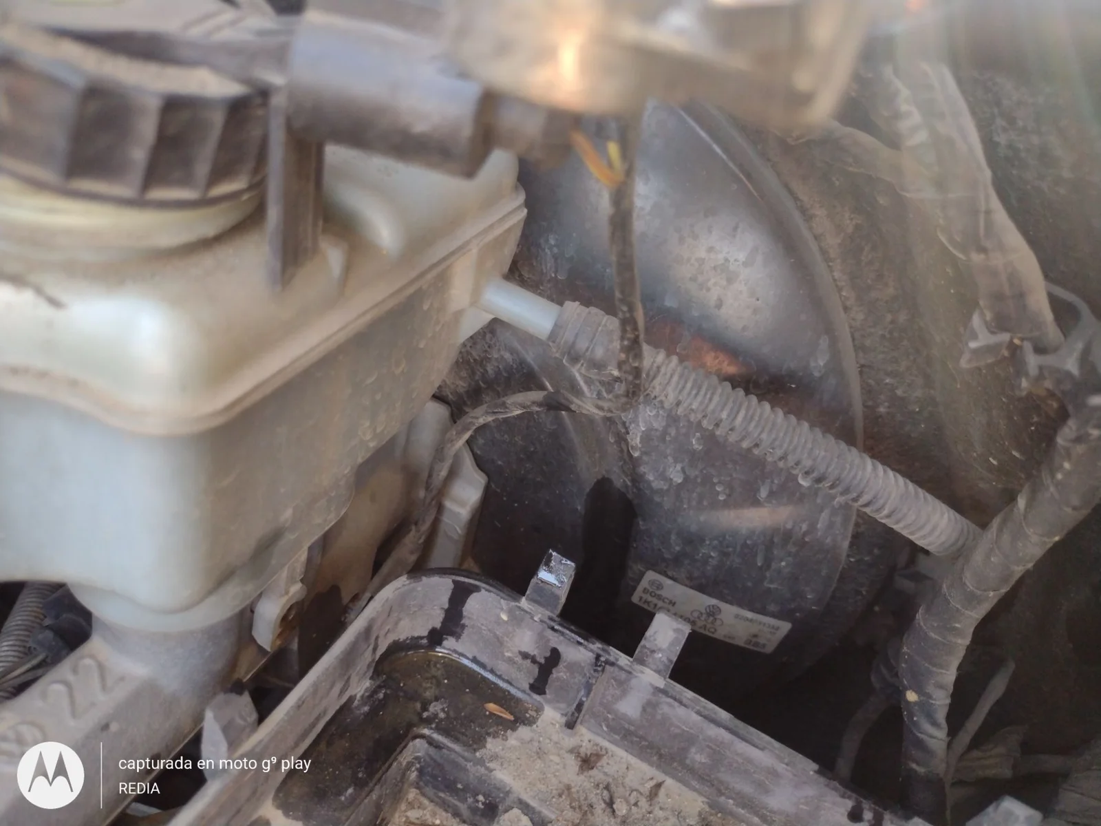 Foto de SERVOFRENO SEAT LEON (1P1) 1.9 TDI (105 CV / 77 KW) referencia 1K1614105AQ