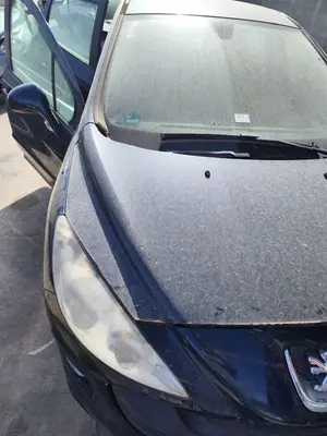 Foto de CAPO PEUGEOT 308 1.6 16V (120 CV / 88 KW) referencia 7901P6 foto 3