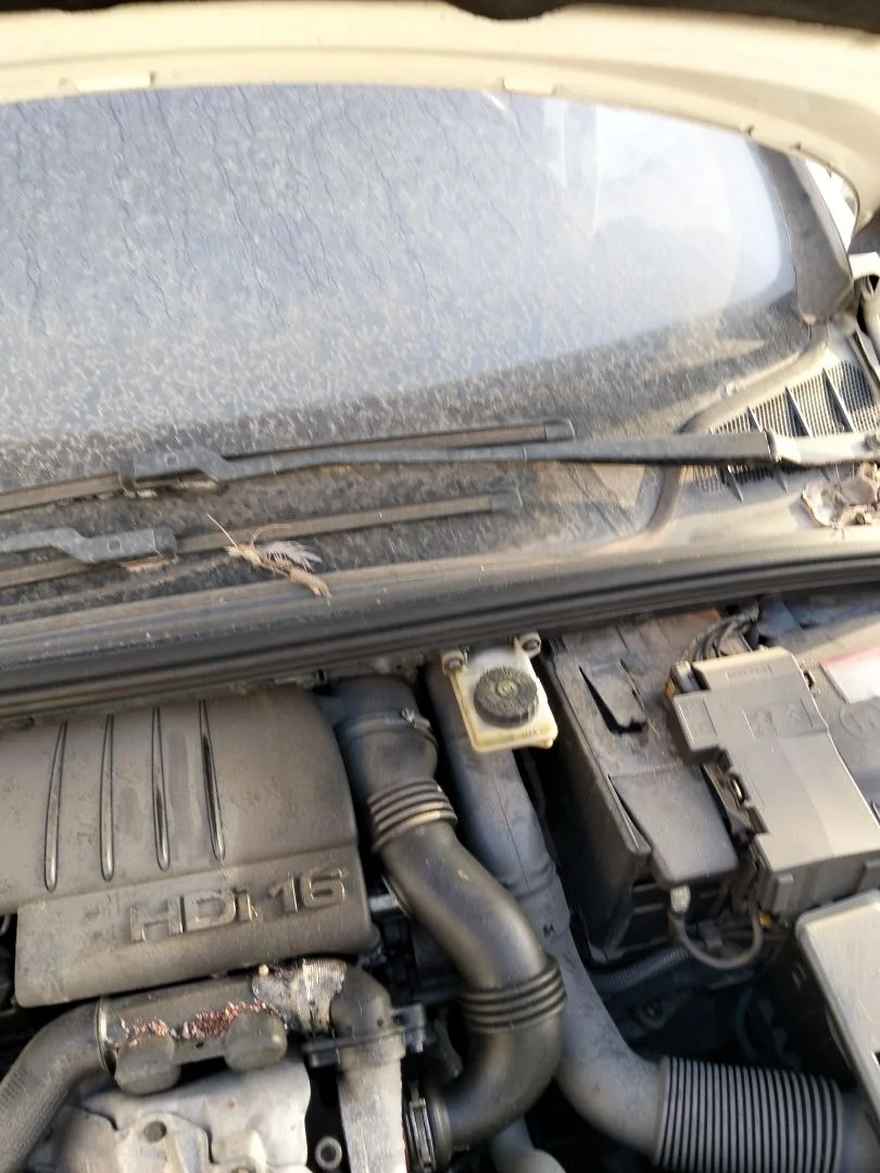 Foto de BRAZO LIMPIA DELANTERO IZQUIERDO PEUGEOT 308 SW 1.6 HDi FAP CAT (9HZ / DV6TED4) (109 CV / 80 KW)