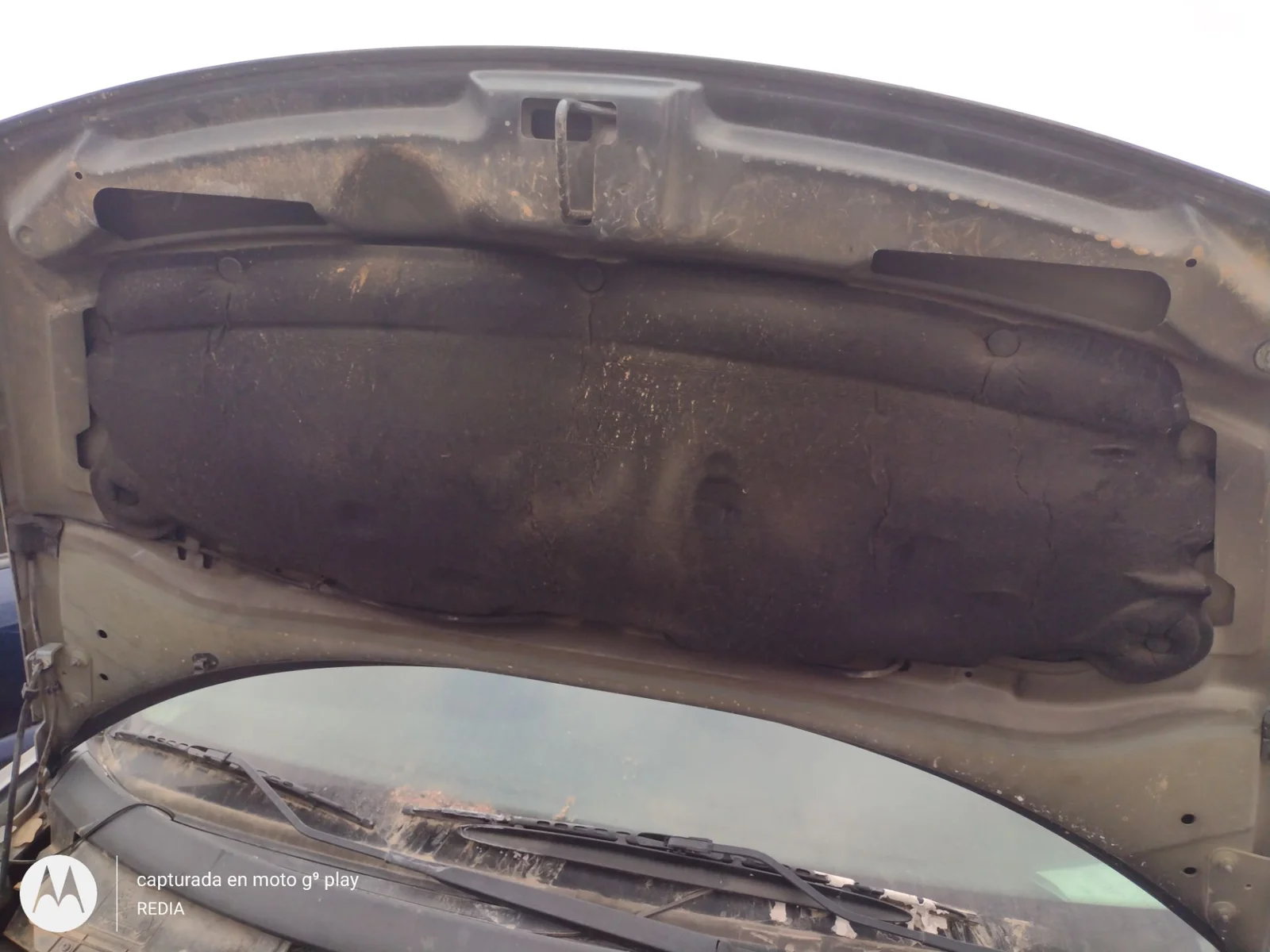 Foto de CAPO CITROEN C3 1.4 HDi (68 CV / 50 KW) referencia 7901N0