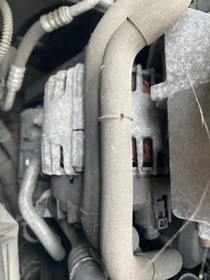 Foto de ALTERNADOR VOLKSWAGEN TOURAN (1T3) 1.6 TDI DPF (105 CV / 77 KW) referencia 03L903023