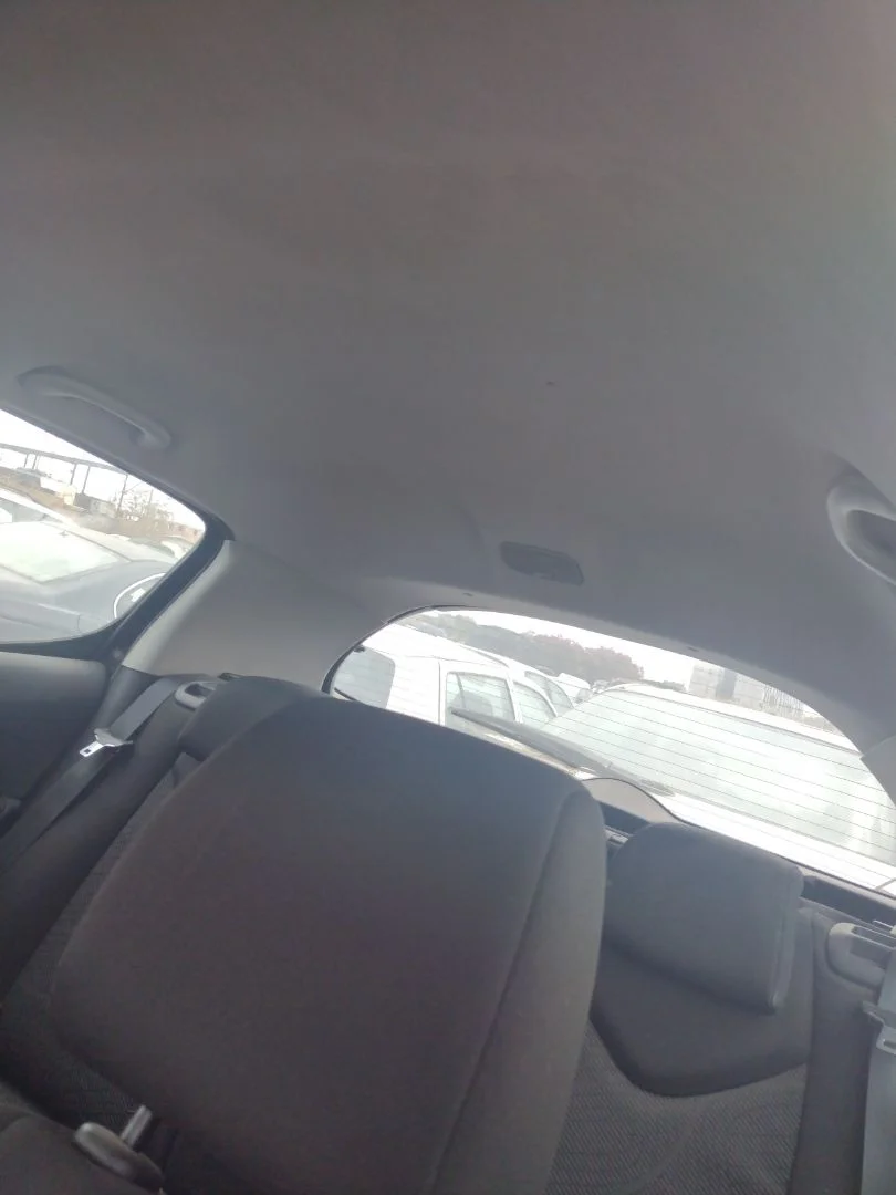 Foto de TECHO INTERIOR PEUGEOT 308 1.6 16V HDi (90 CV / 66 KW)