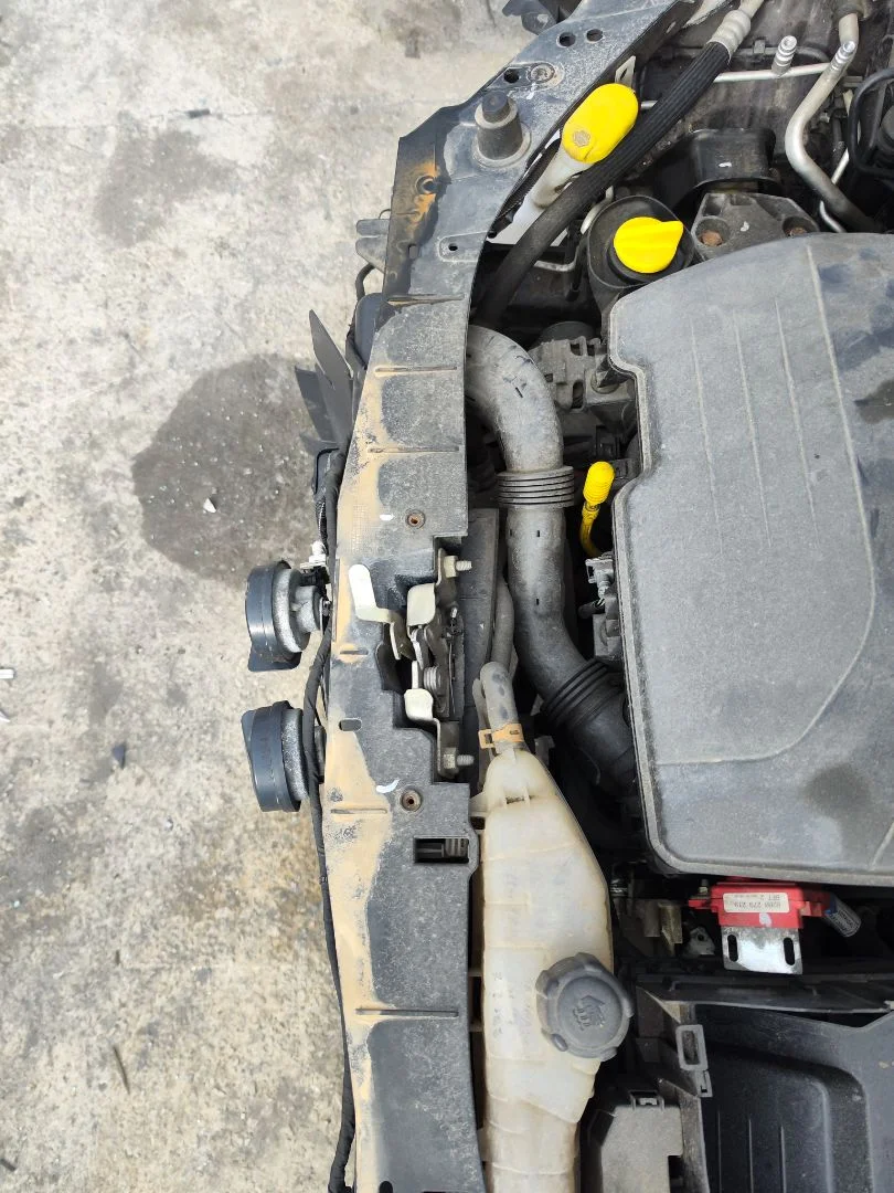 Foto de PANEL FRONTAL RENAULT CLIO III 1.2 16V (75 CV / 55 KW)